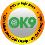 Ok9 Okvip Avartar Logo